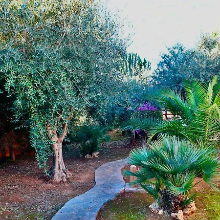 Semesterbostad Azzurromare - Cornino *